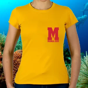 polera corporativa
