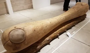Escultura de Tronco Tallado Gran Formato – Valentina Jara Bravo