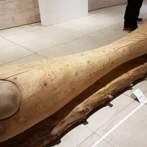 Escultura de Tronco Tallado Gran Formato – Valentina Jara Bravo