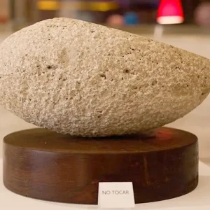 Escultura en Piedra sobre Base de Madera – Valentina Jara Bravo