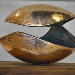 Escultura Orgánica Abierta en Bronce – Valentina Jara Bravo