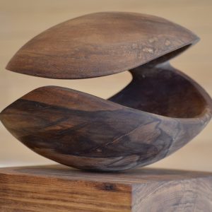 Escultura Orgánica Abierta en Madera – Valentina Jara Bravo