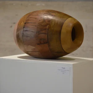 Escultura Ovoide de Madera con Perforación – Valentina Jara Bravo