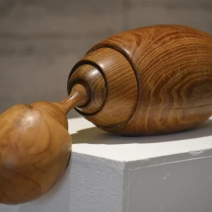 Escultura Semilla y Brote en Madera – Valentina Jara Bravo