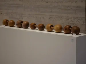 Serie de Esferas de Madera – Valentina Jara Bravo