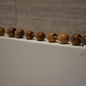 Serie de Esferas de Madera – Valentina Jara Bravo